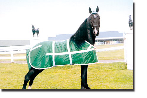 Kelly Green & White Classic Show Sheet and Matching Tail Bag