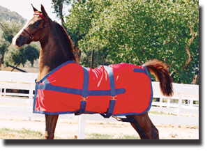 classic show horse sheet and tail bag