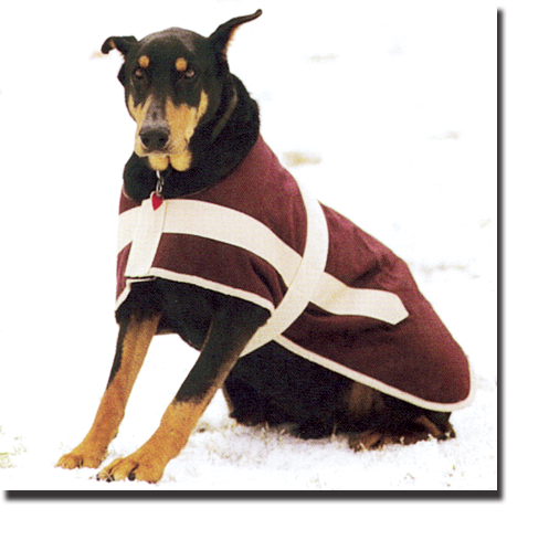 Burgandy & Tan Equi-Lite Blanket