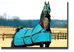 equi-lite blanket with hood