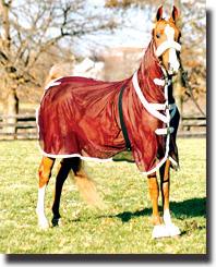 Horse blankets, sheets, hoods, bags, boots and other apparel.