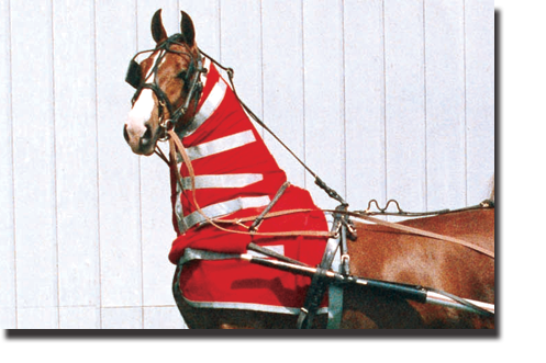 Red & Silver Neck and Shoulder Sweat