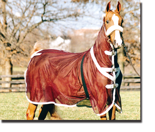 Burgandy & Silver Fitted Scrim Cooler