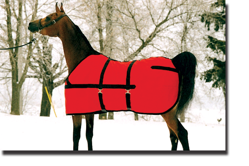 Red & Black Show Coat Blanket